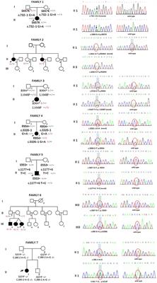 Characteristics of Clinical and Electrophysiological Pattern in a Large Cohort of Chinese Patients With Charcot-Marie-Tooth 4C